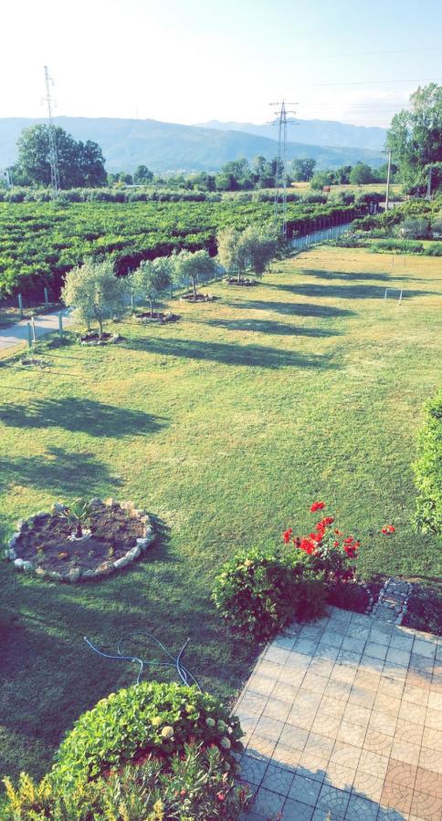 Apartamento Casa Nita Ulcinj Exterior foto
