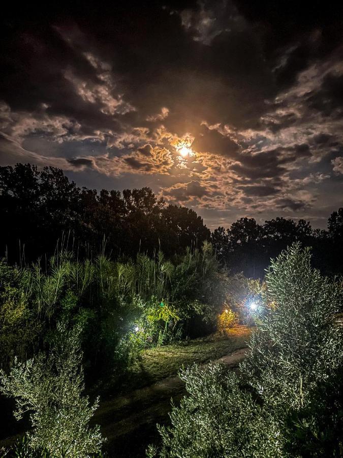 Apartamento Casa Nita Ulcinj Exterior foto